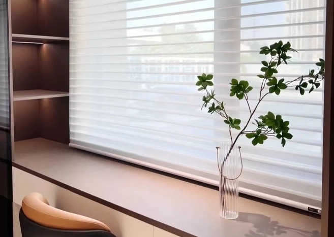 Electric Blackout Blinds